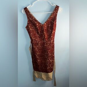 The Limited Lace Cocktail Ribbon Belt Term Dress Size 0